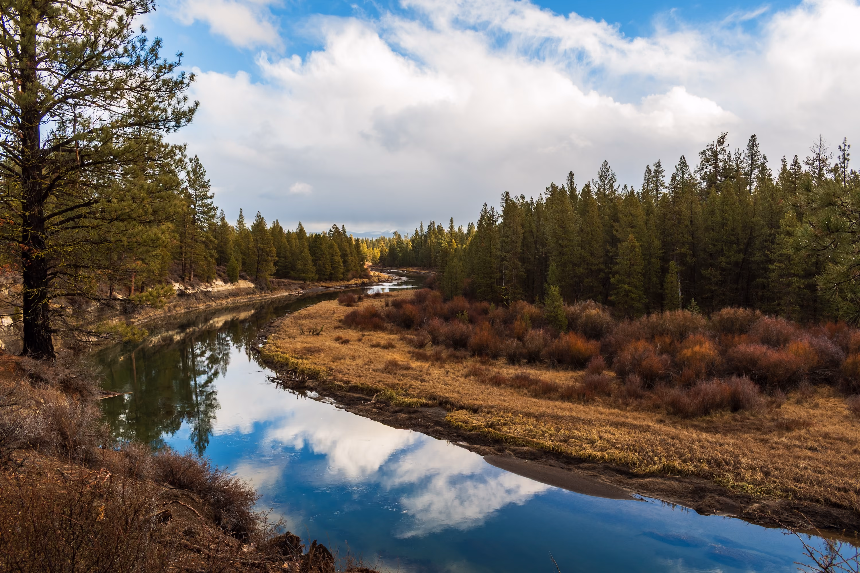 La Pine, OR Park Stock Image