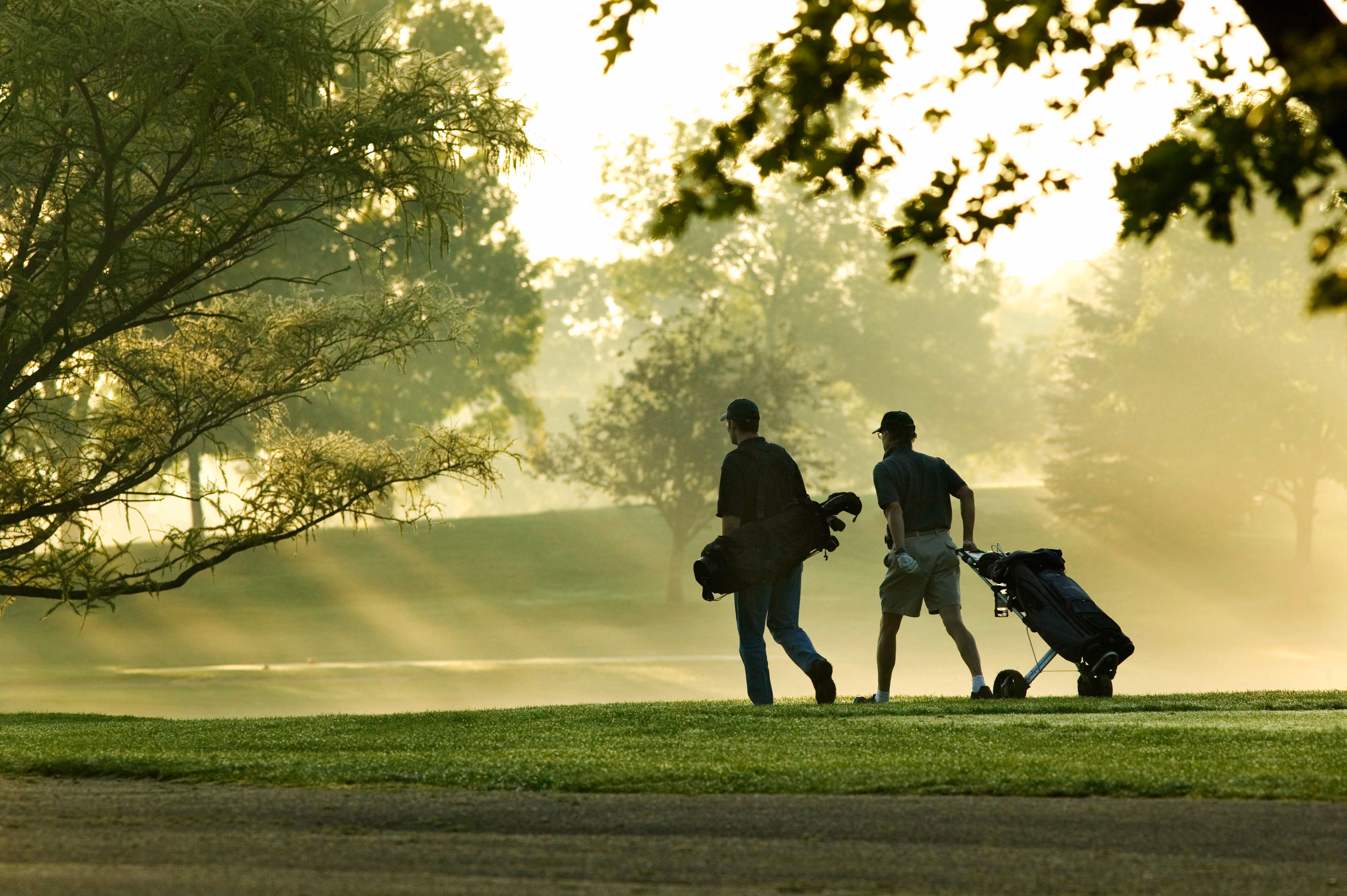 Friends Golfing Stock Image 