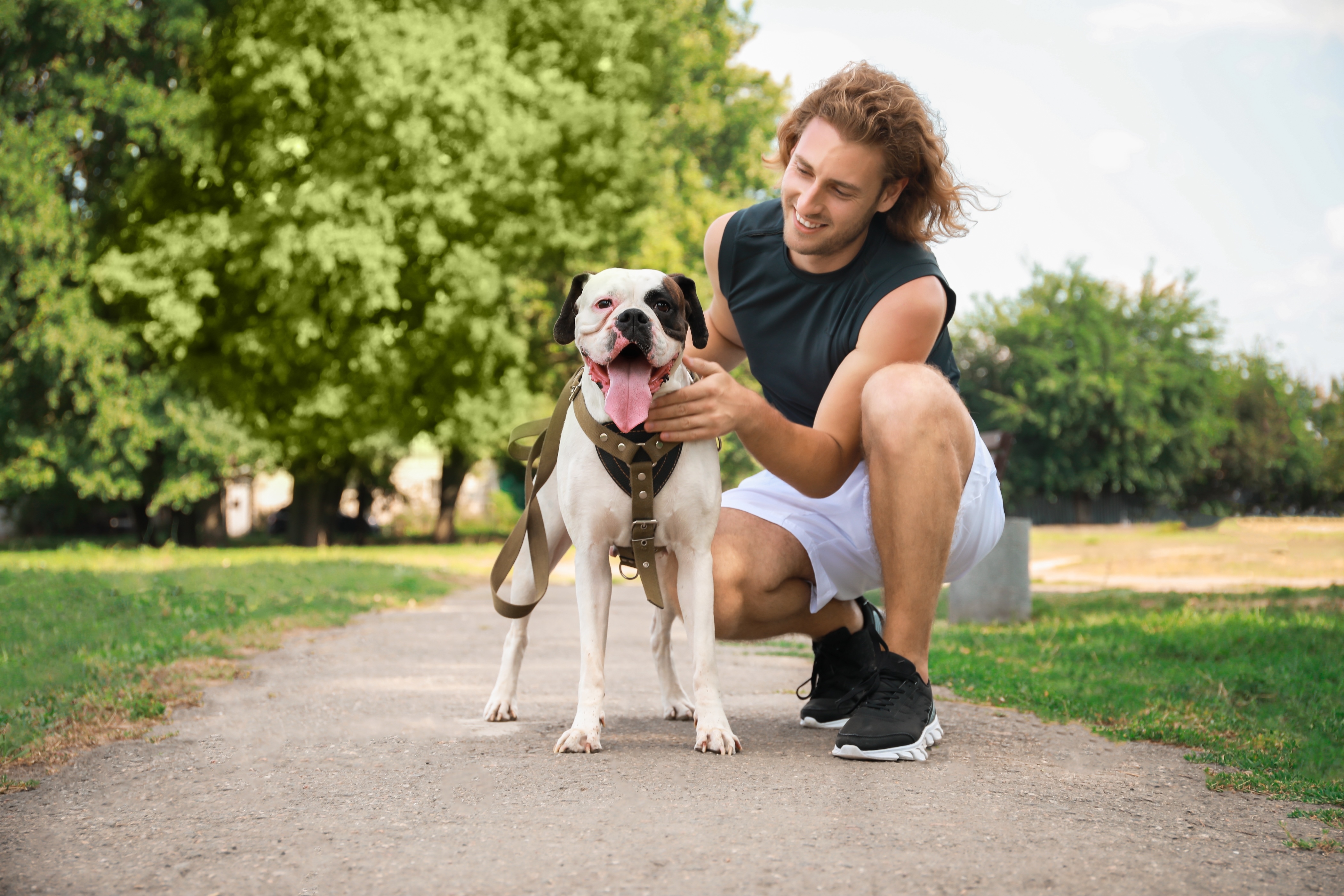 Girl walking with dog stock image