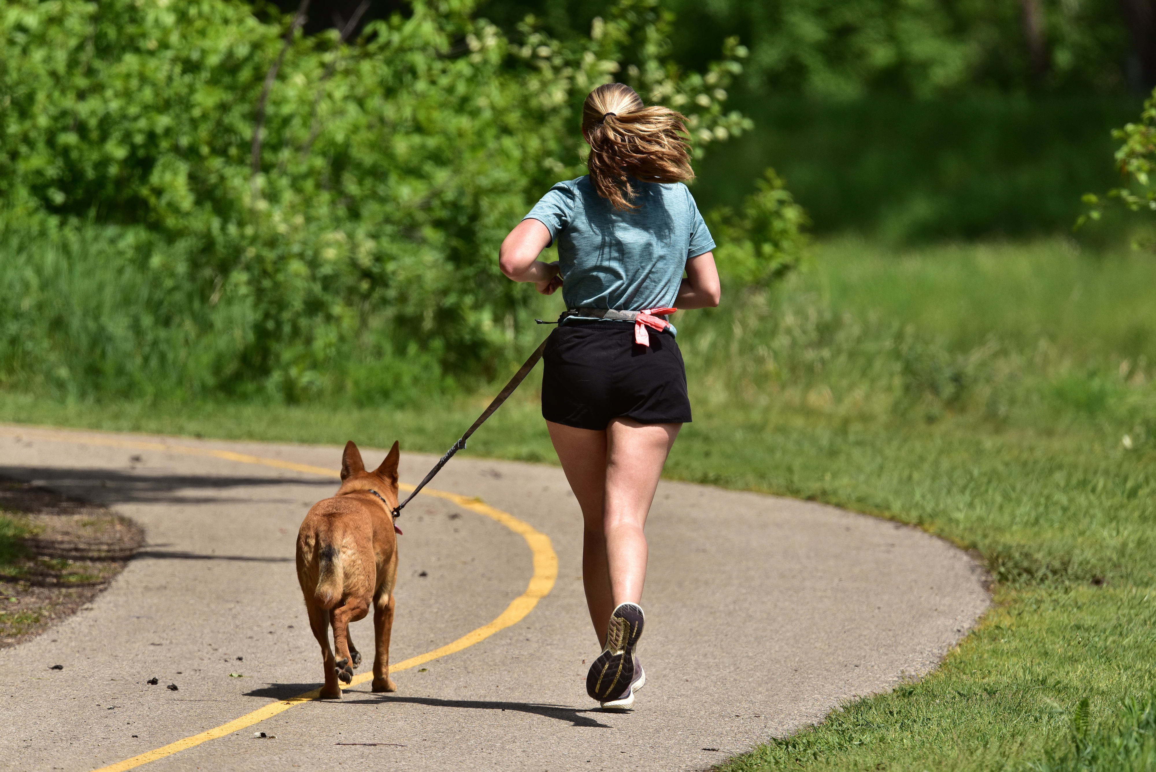 Woman running with dog stock image