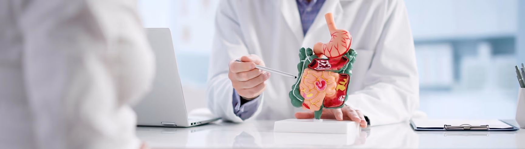 A gastroenterologist explaining a digestive system anatomy model to a patient during a consultation.