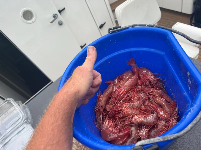 A hand holding a blue container of prawns aboard the yacht.