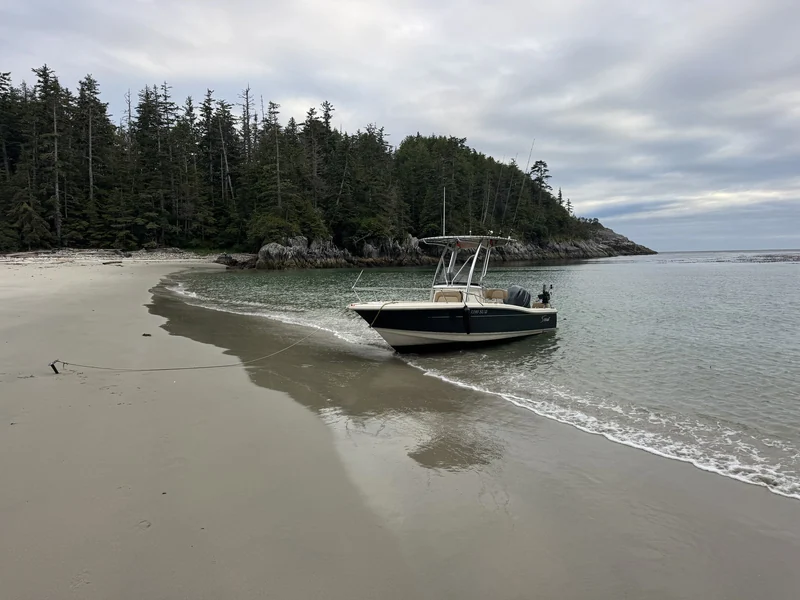 A smaller boat resting at the edge of a pale-sand beach at Hakai.