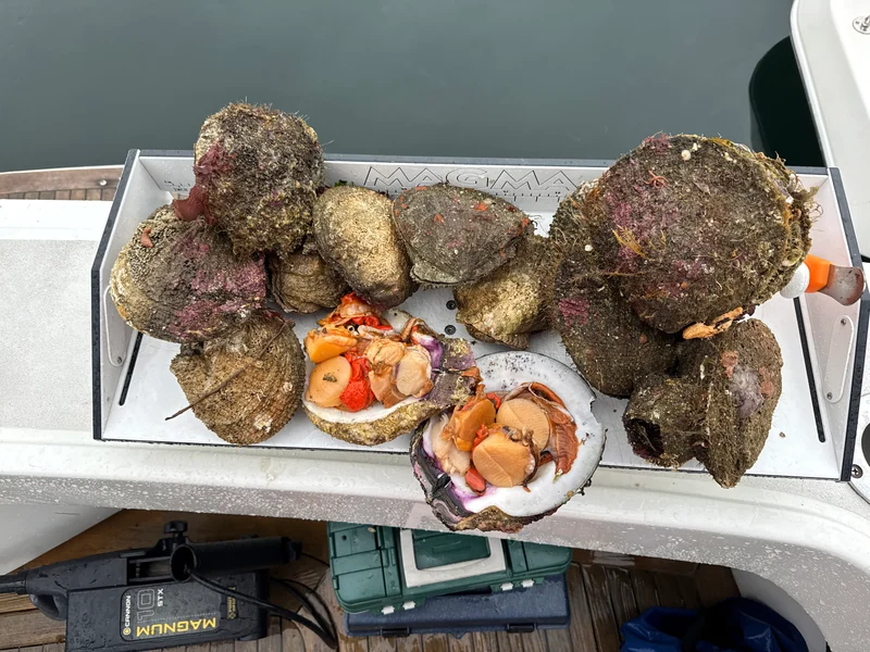 Shellfish and opened shells arranged on a tray aboard Surfrider.