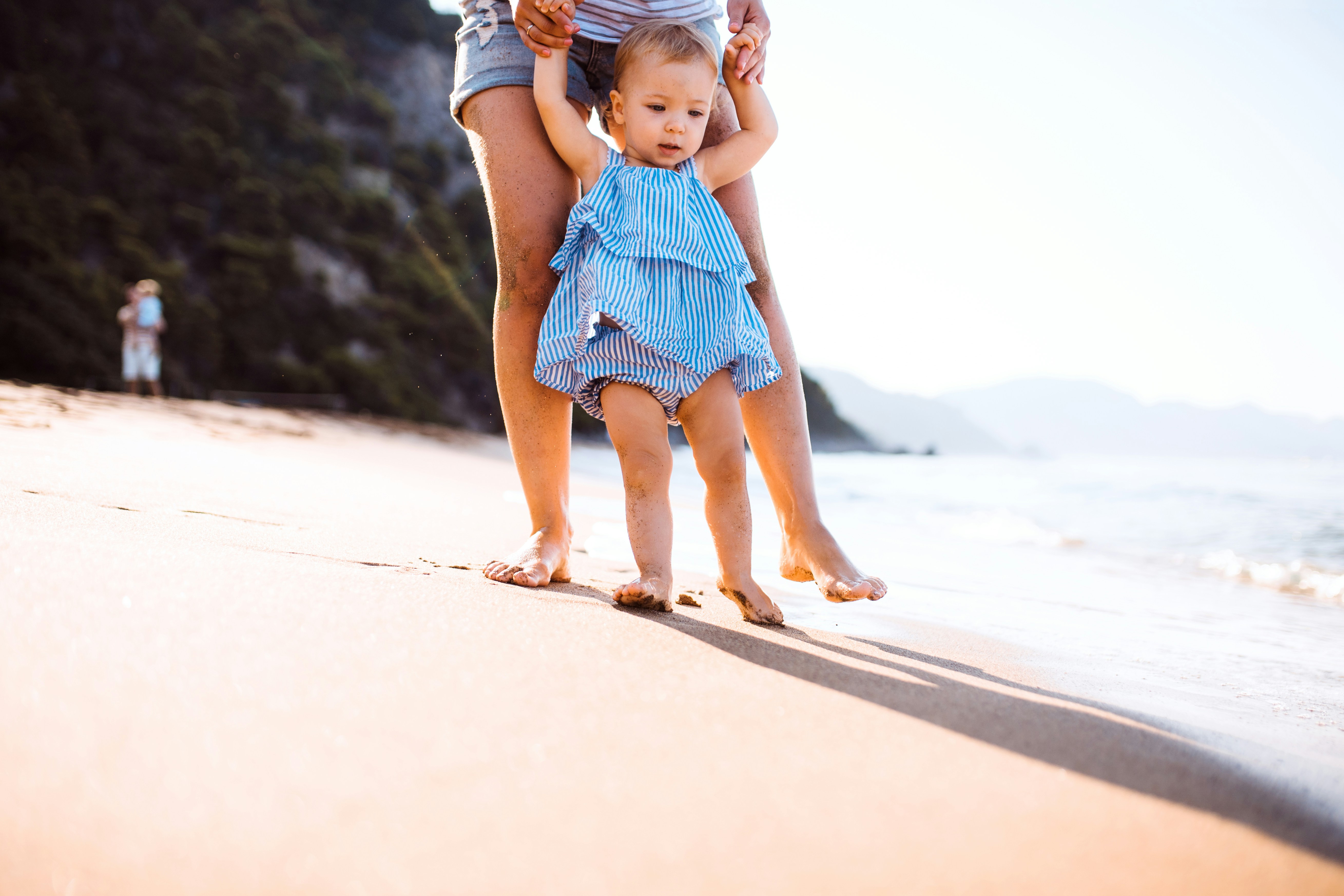 Family Law Attorney