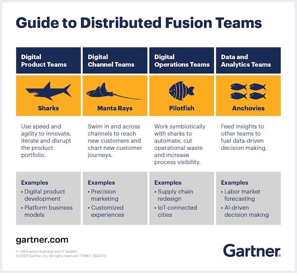 Guide to distributed fusion teams