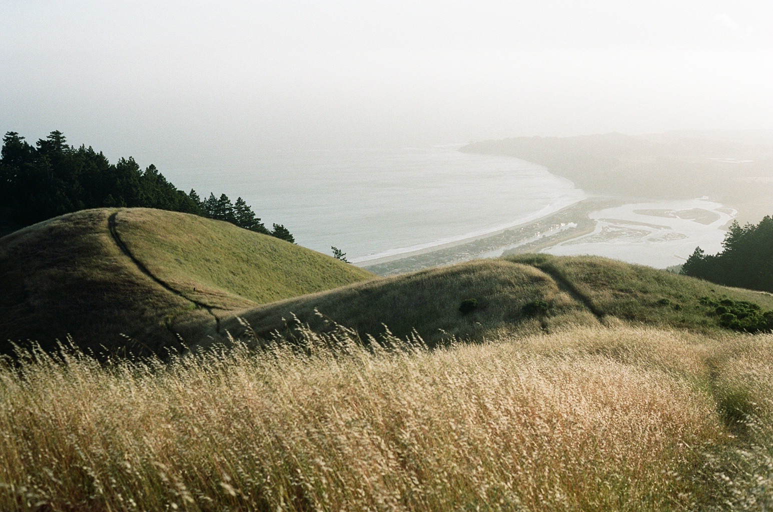 Stinson Beach and Bolinas lagoon seen from the Mt. Tamalpais ridge