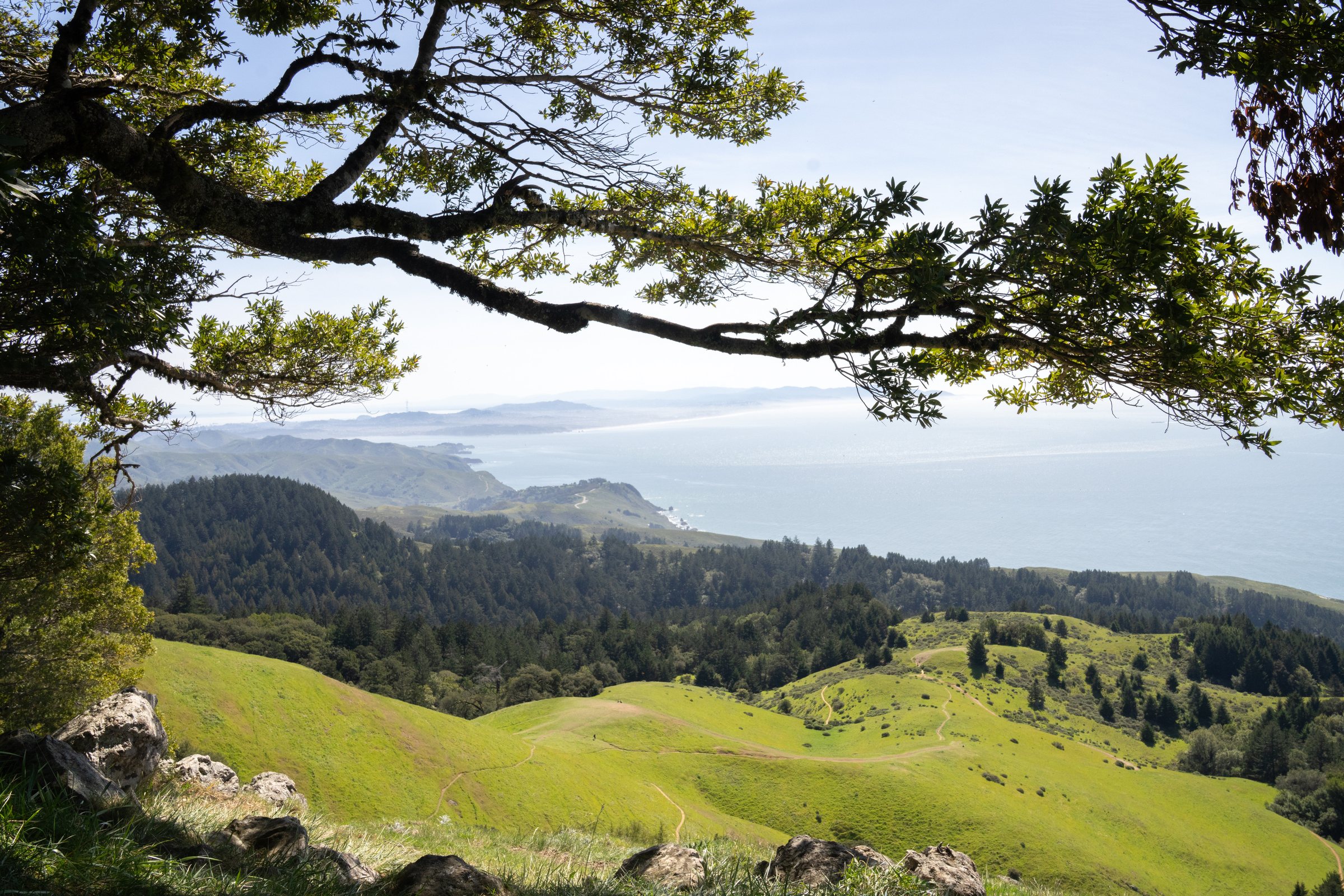 Mount Tamalpais looking out over the Marin headlands and the Pacific