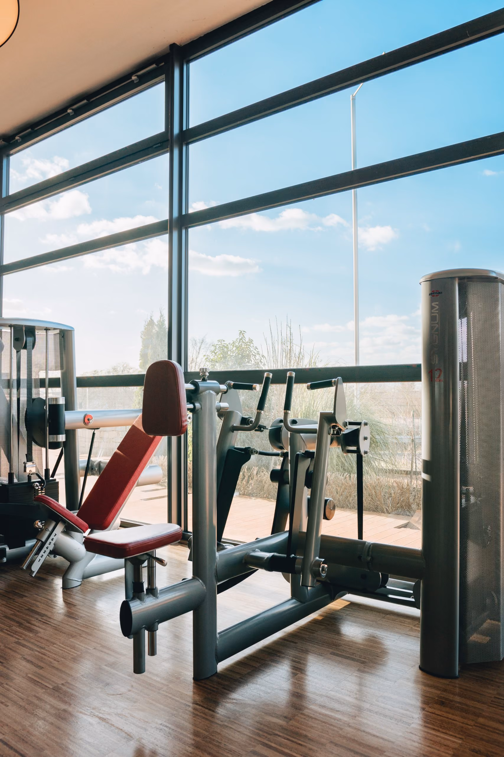 Training im New Fitness