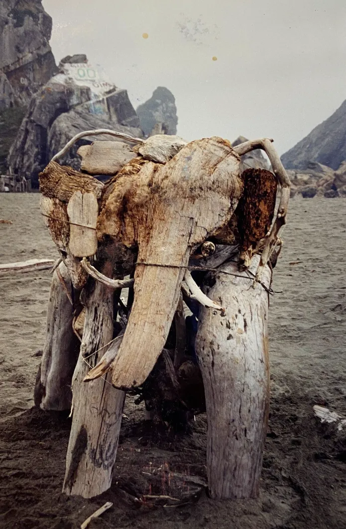Disregarded Wooden End Remnants | 02