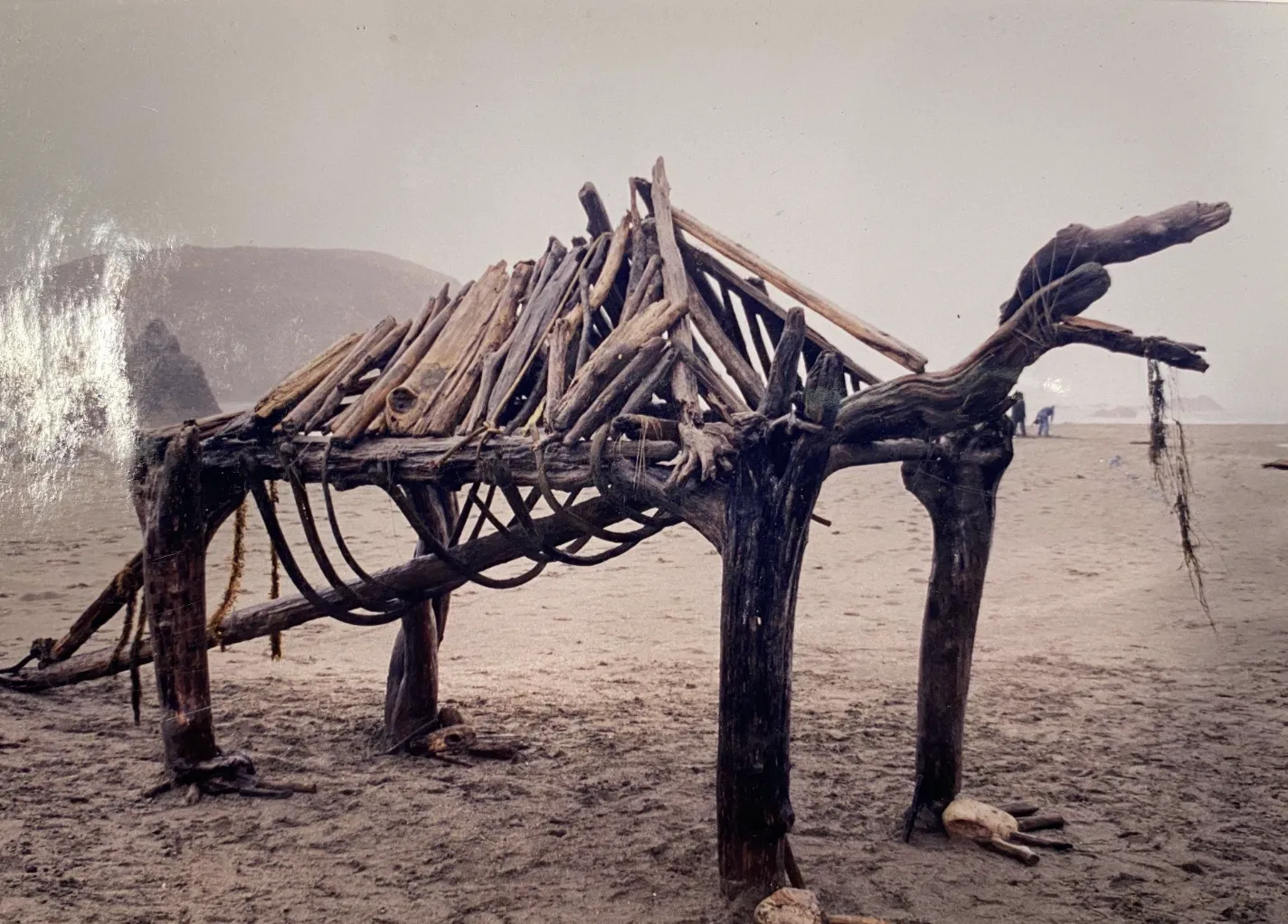 Disregarded Wooden End Remnants | 03