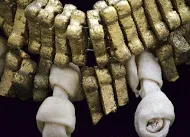 Dog Bones | 02