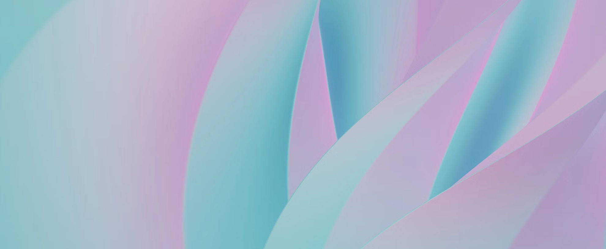 Single Image