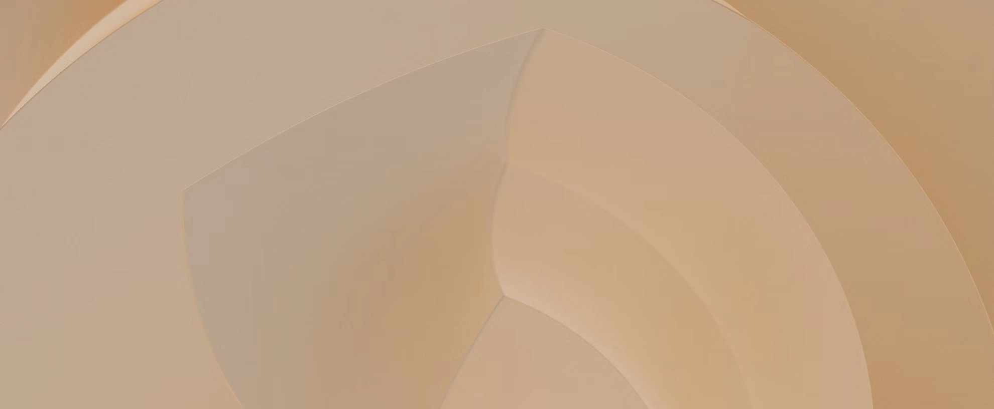 Single Image