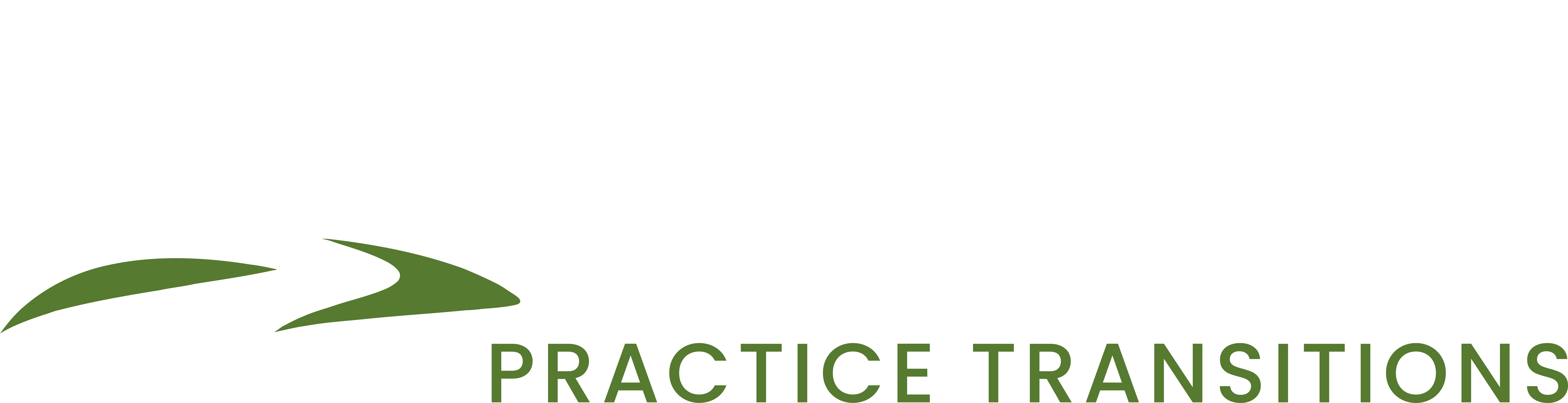 Majestic Practice Transitions