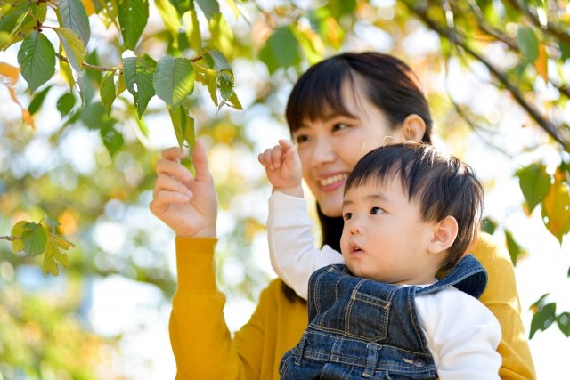 親子で発見を楽しむ、幸せな日常