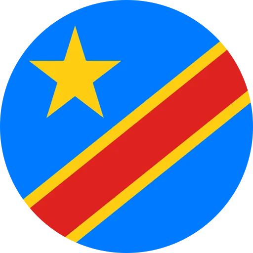 World language selection icon