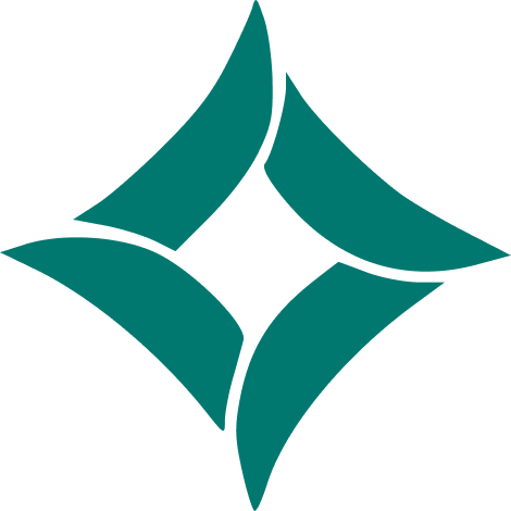 The Seniors Zone logo