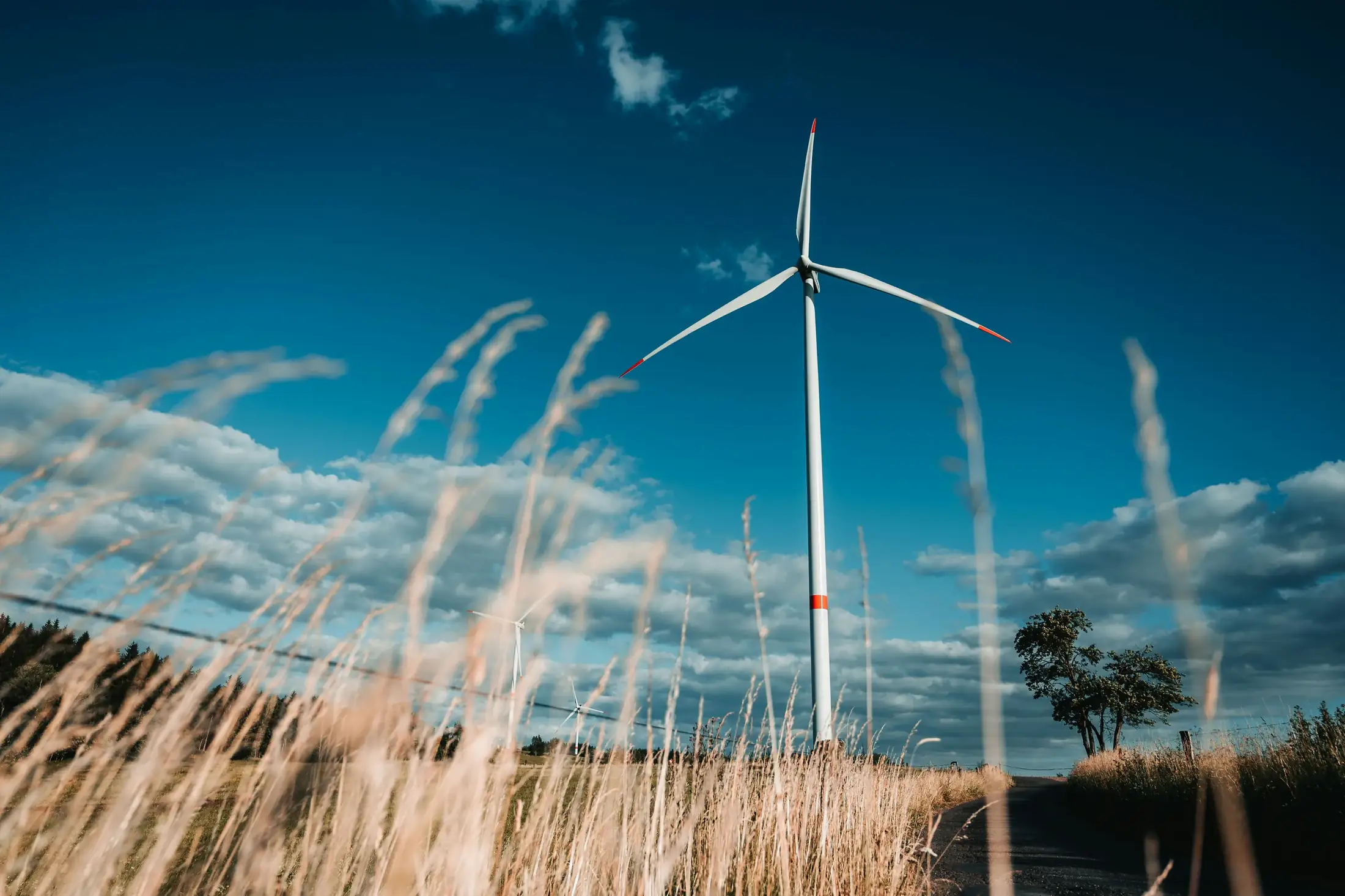 Wind turbine against a deep blue sky behind tall grass