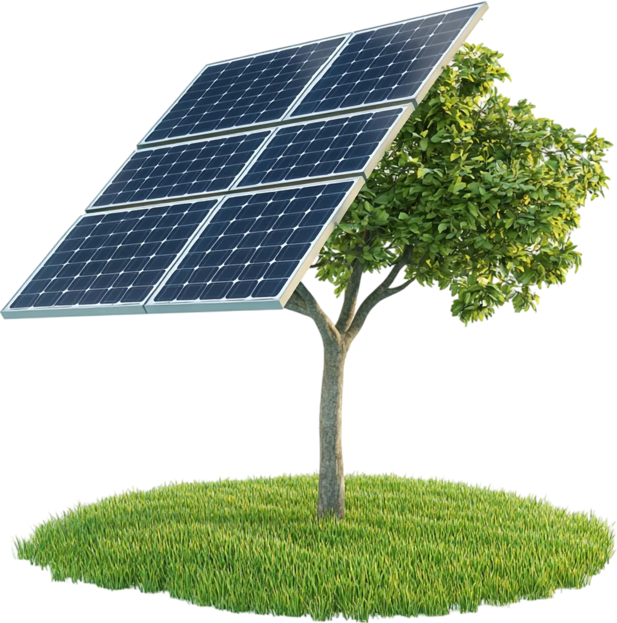 A solar panel array rising from a leafy tree on a round patch of green grass