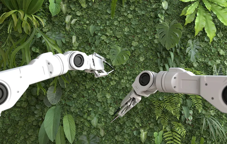 Case Study Image