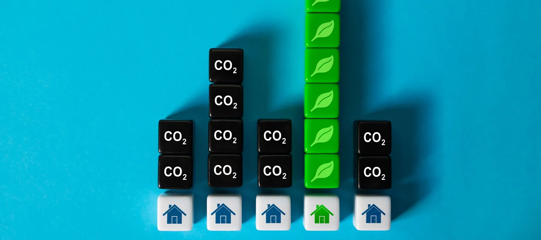 Case Study Image