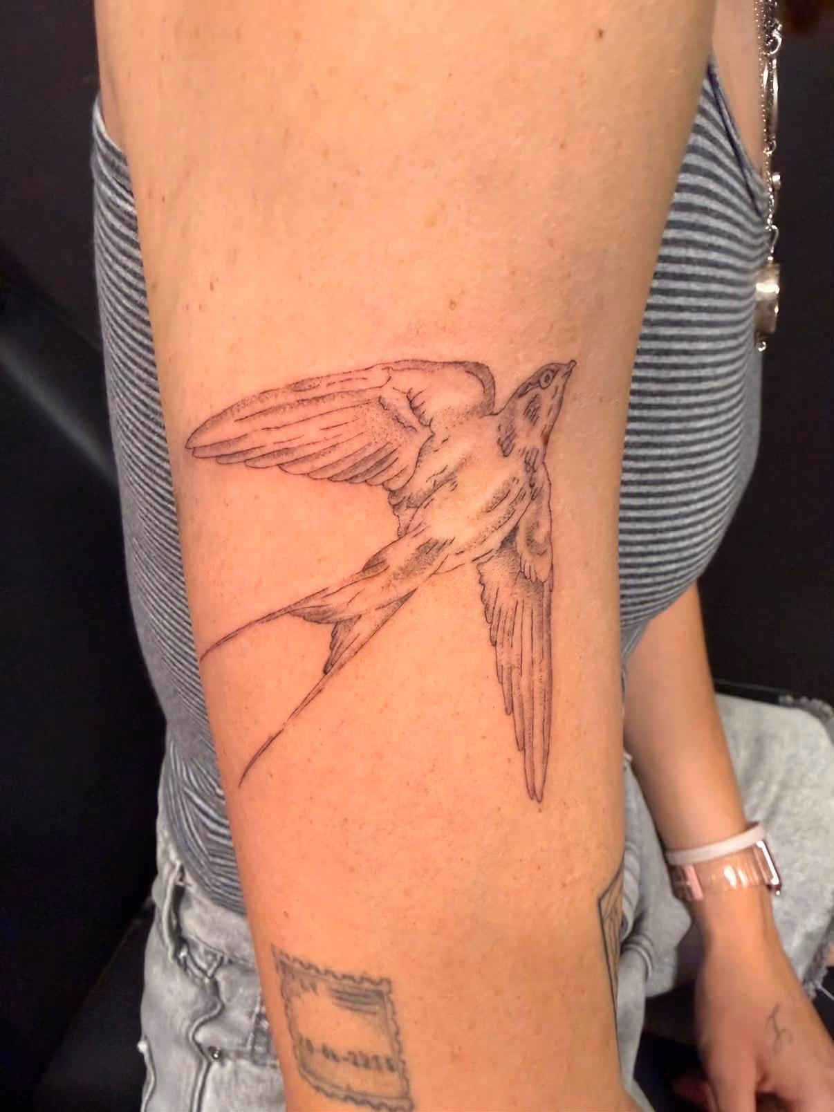 Fine line swallow arm tattoo