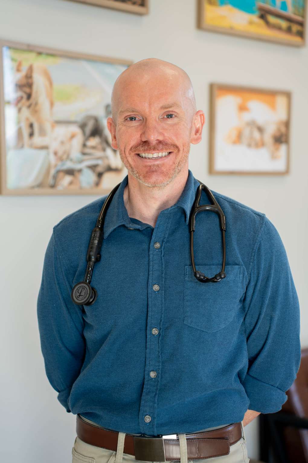 Dr. Belue, owner and lead veterinarian at Paradise Animal Hospital