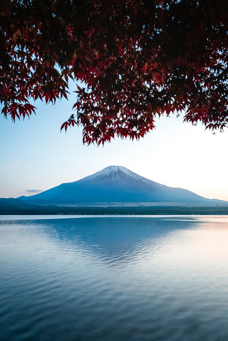 Mount Fuji landscape