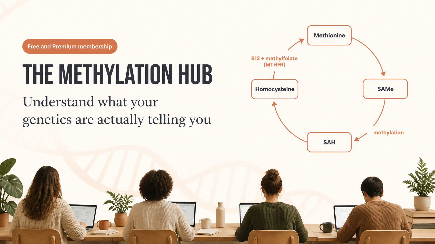 The Methylation Hub: free and premium education community on methylation and genetics, showing the methionine cycle (methionine, SAMe, SAH, homocysteine)