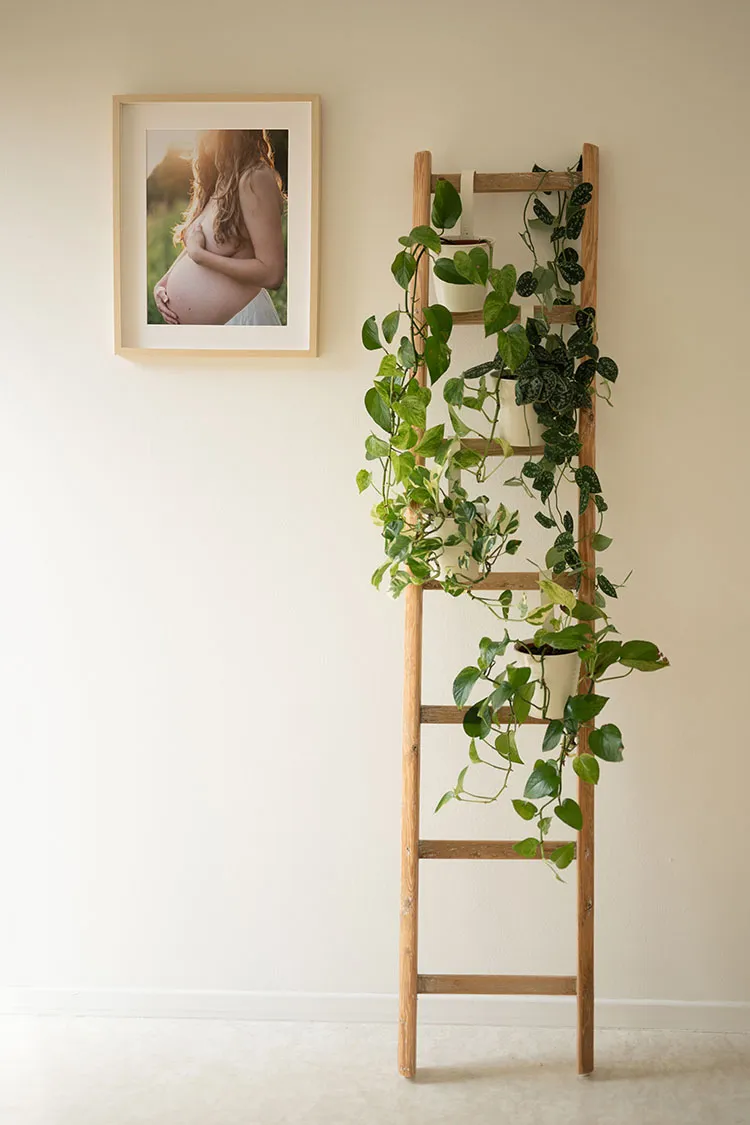Foto interna studio di Florina Amacher