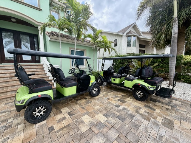Harbor Paradise