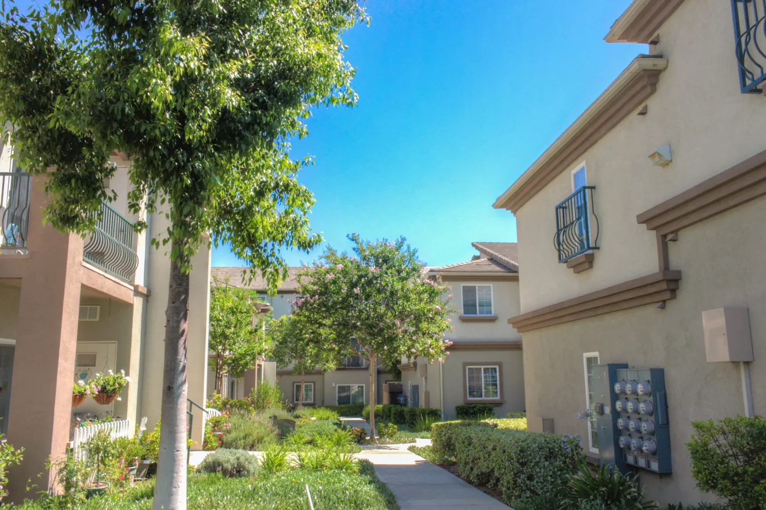 Courtyard in the property