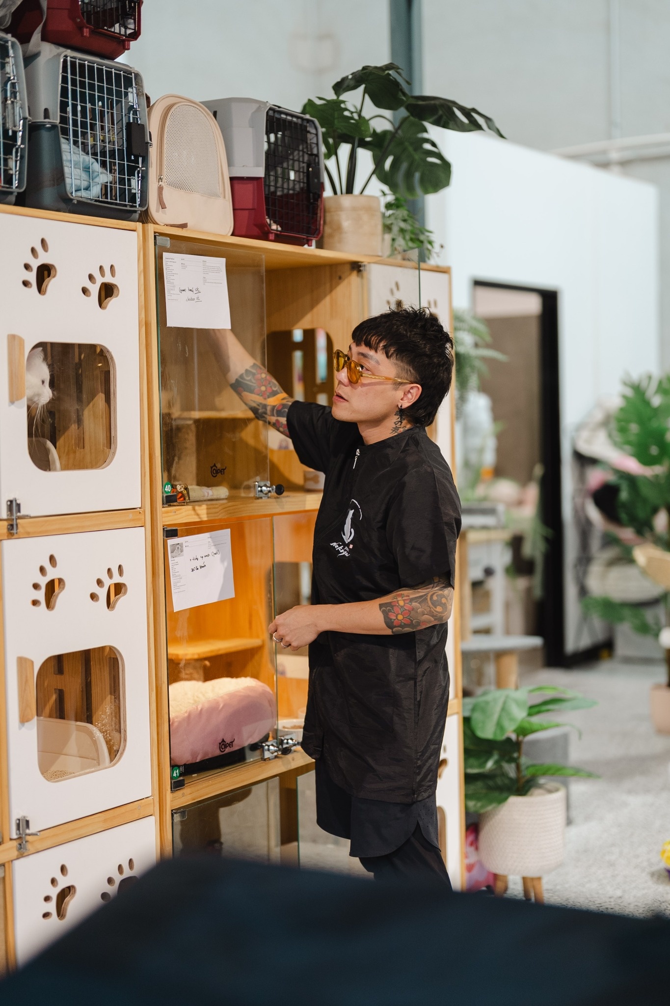 A staff member gently placing a food bowl for a cat resting inside its boarding condo
