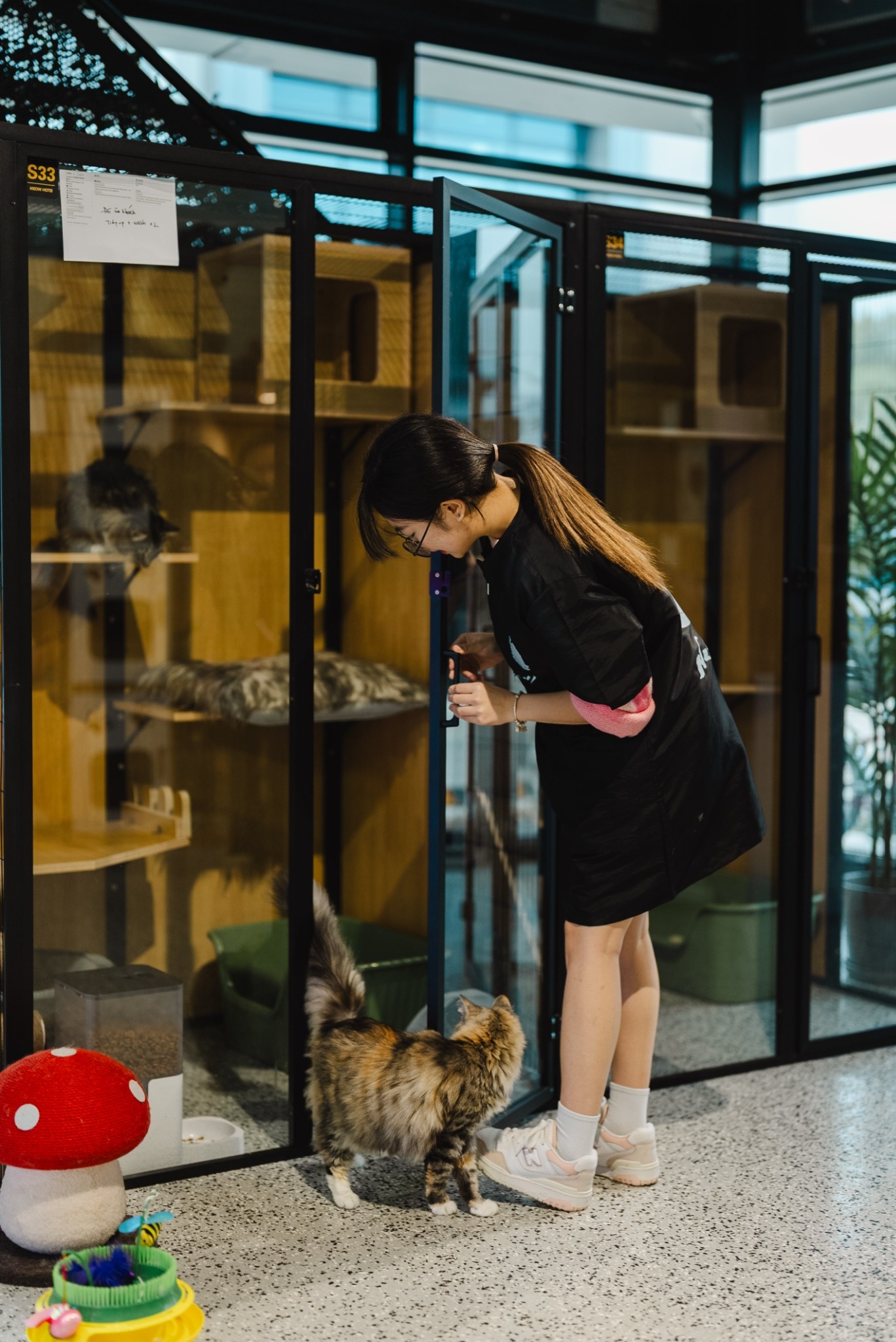 Staff member greeting a curious cat near the condo units