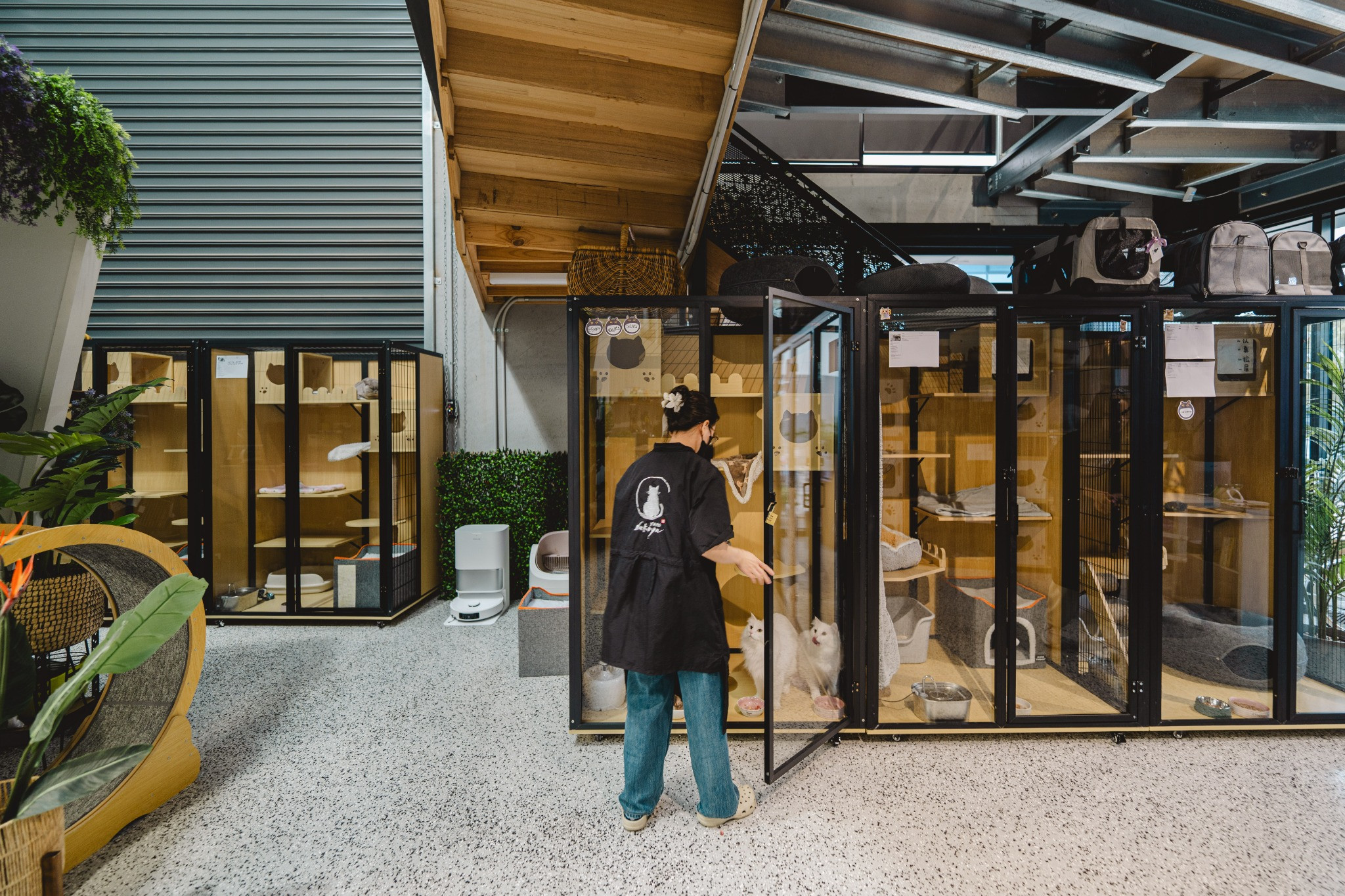 Warm timber cat condo wall at XMMO with individual glass-fronted suites