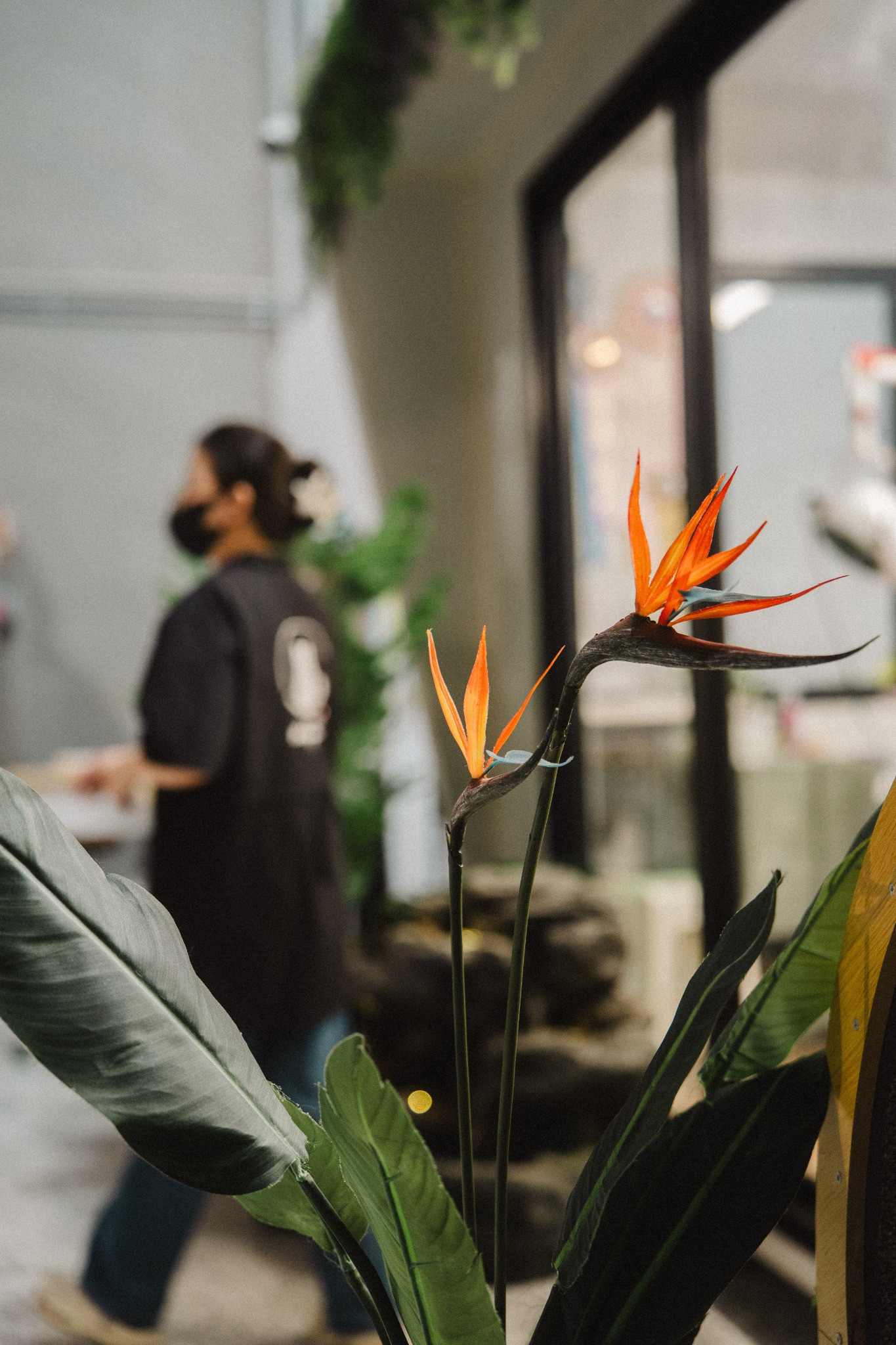 Bird of paradise flowers inside the XMMO facility with a staff member blurred in the background