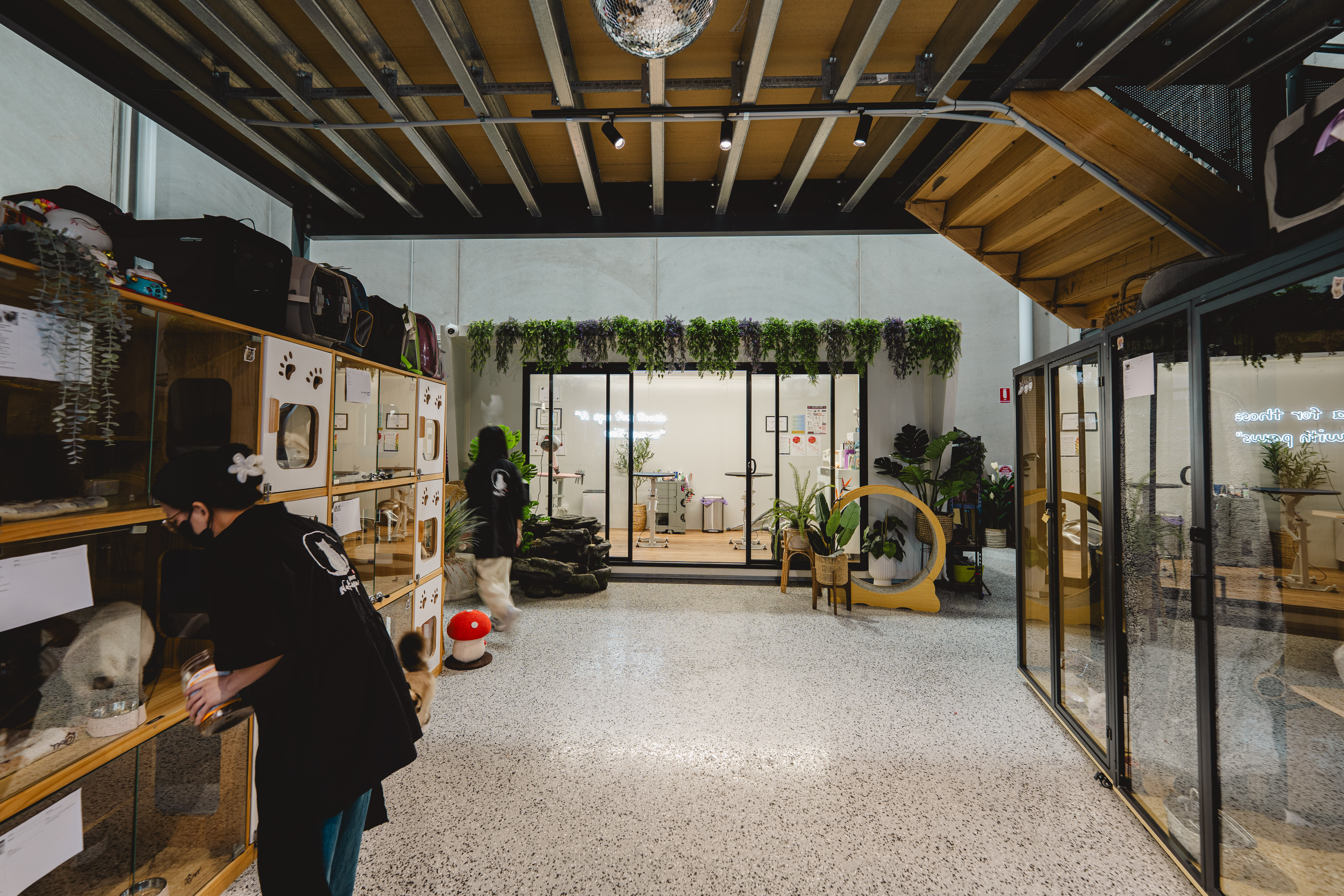 Wide view of the XMMO reception and grooming studio with warm timber, hanging plants and a disco ball overhead