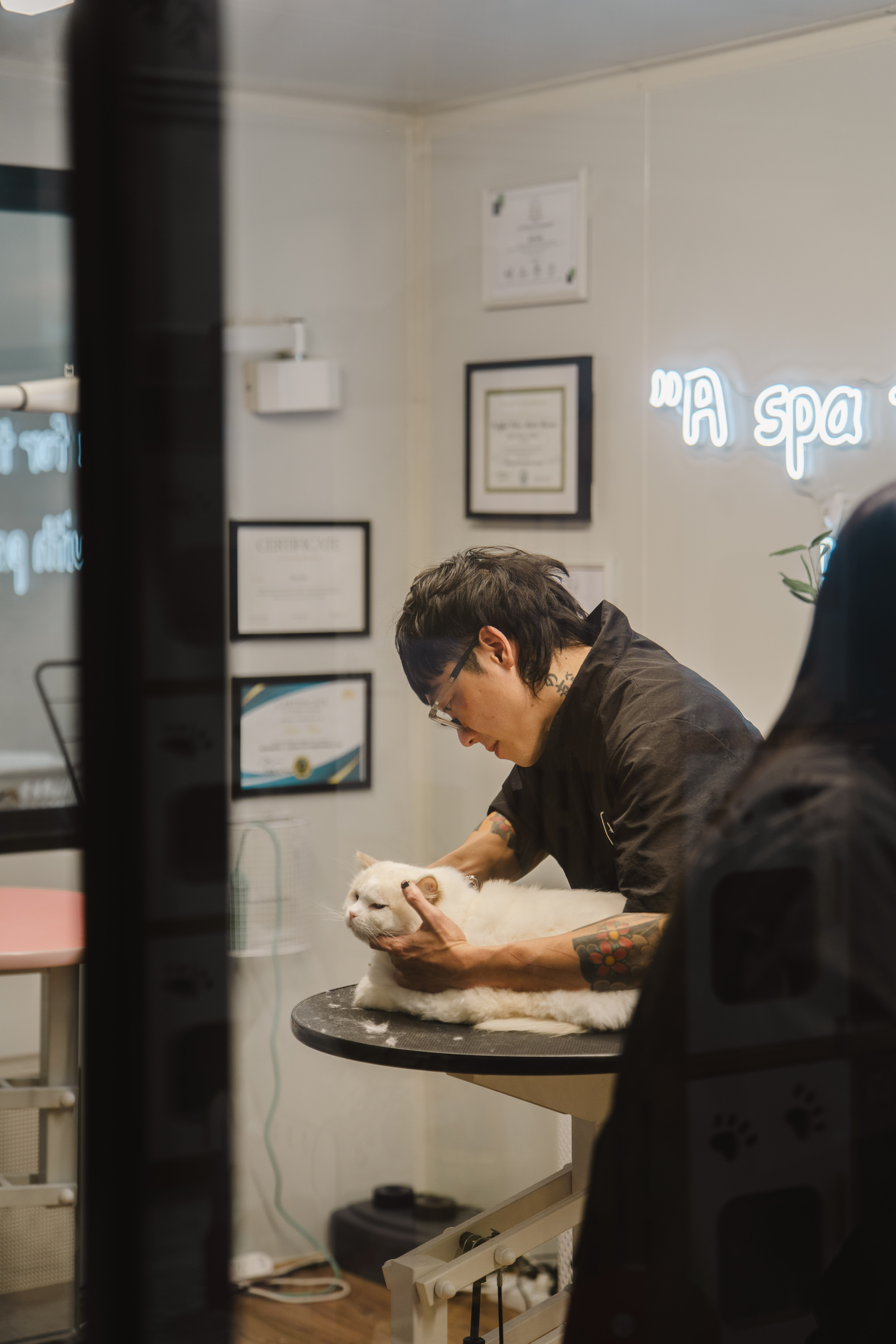 Ben leaning over a grooming table finishing a groom on a white cat, certificates and neon signage in the background