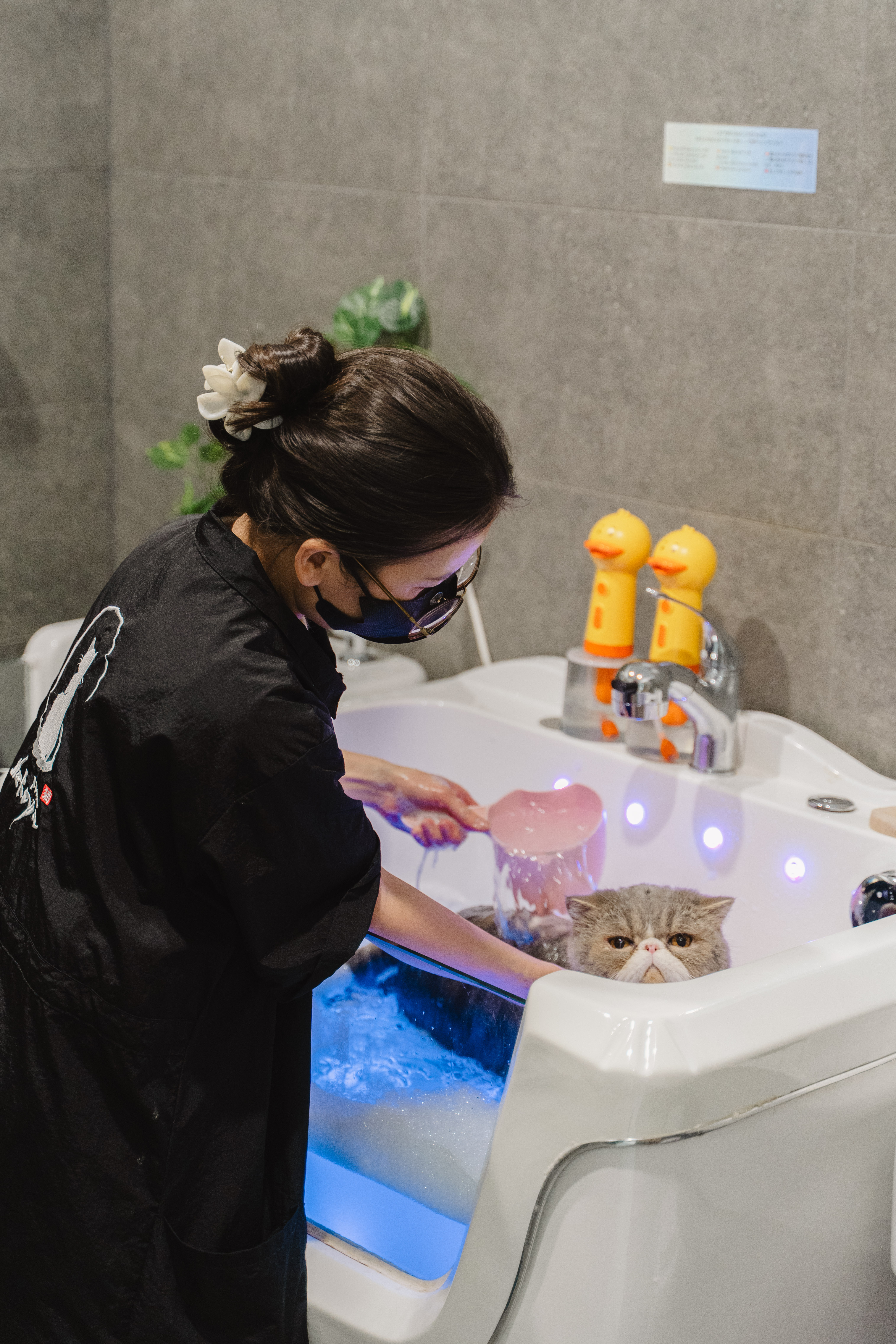 A groomer carefully bathing a cat at the XMMO grooming sink