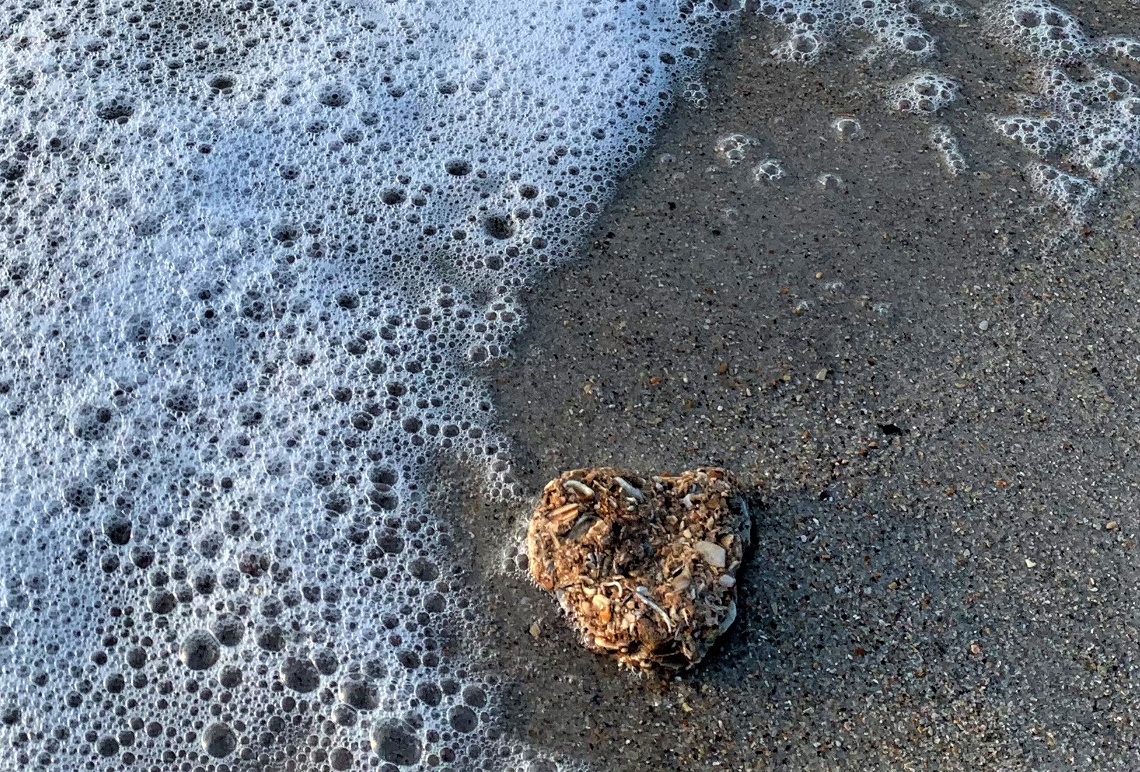 Joy in the Brokenness