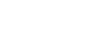 Precise logo