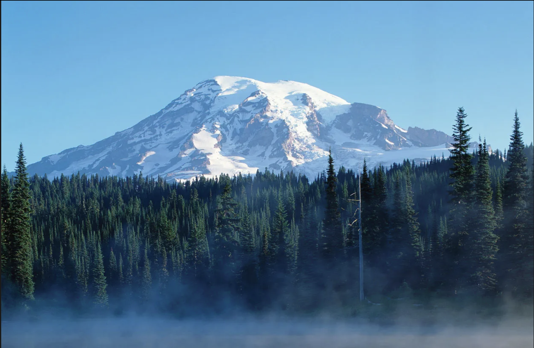 Mount Rainier rising above evergreen forest and mist