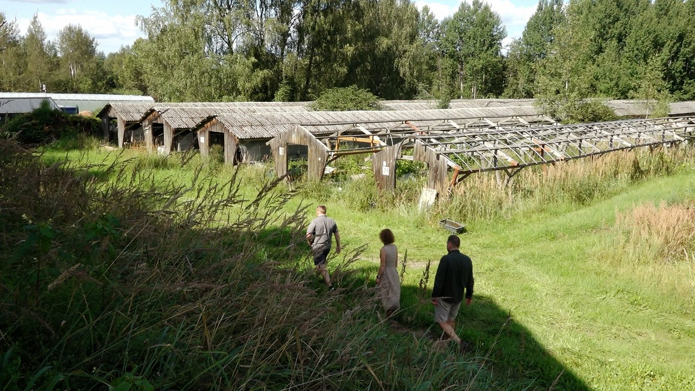 Trīs cilvēki pārvietojas pa zālāju pie vecām, nolietotām dārzkopības siltumnīcām ar koka un metāla ietvariem, fonā redzami koki un zilas debesis ar mākoņiem.