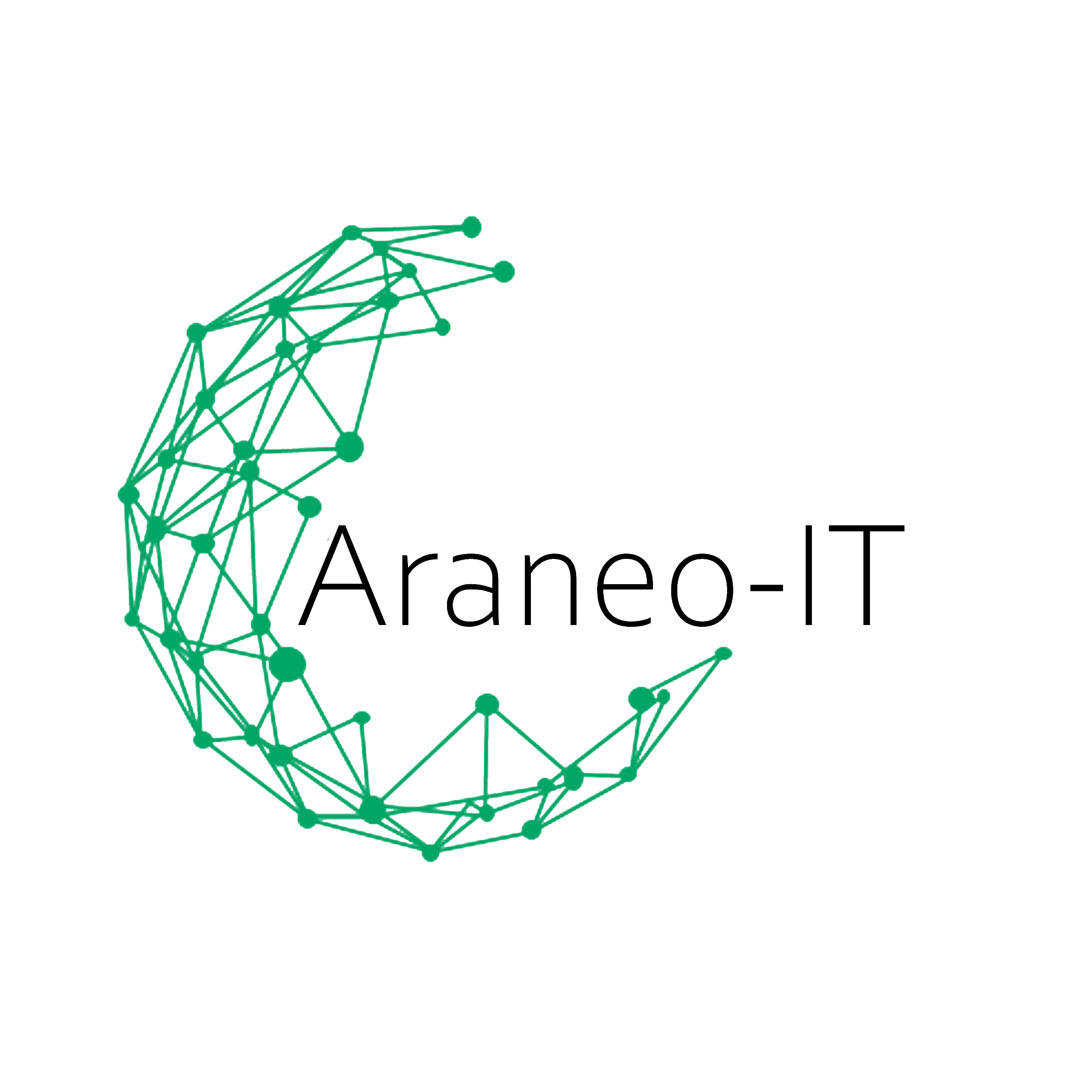 Araneo-IT