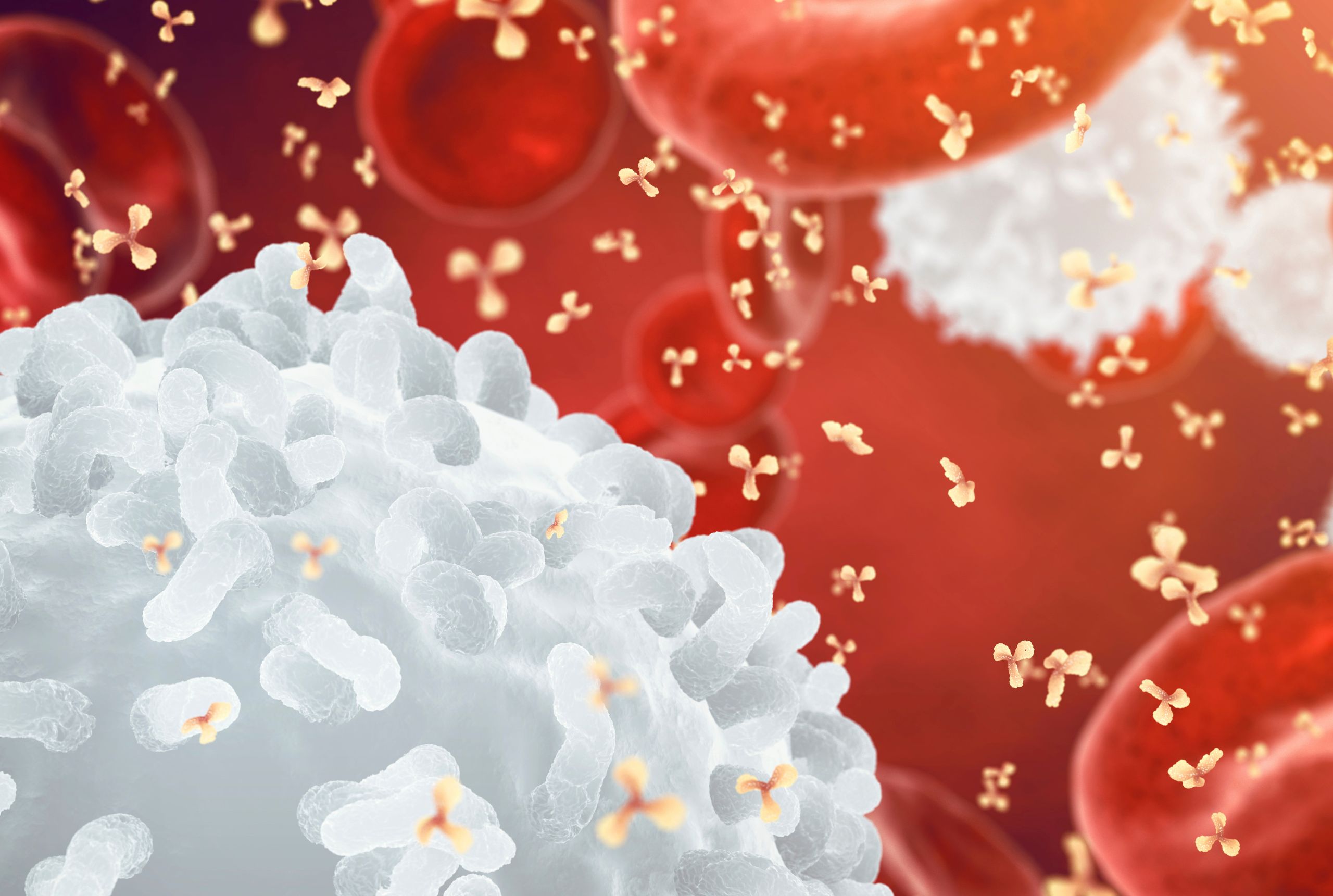 Immunterápia a rák kezelésében