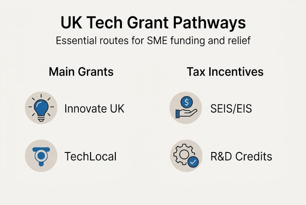 Infographic showing UK tech SME grant options