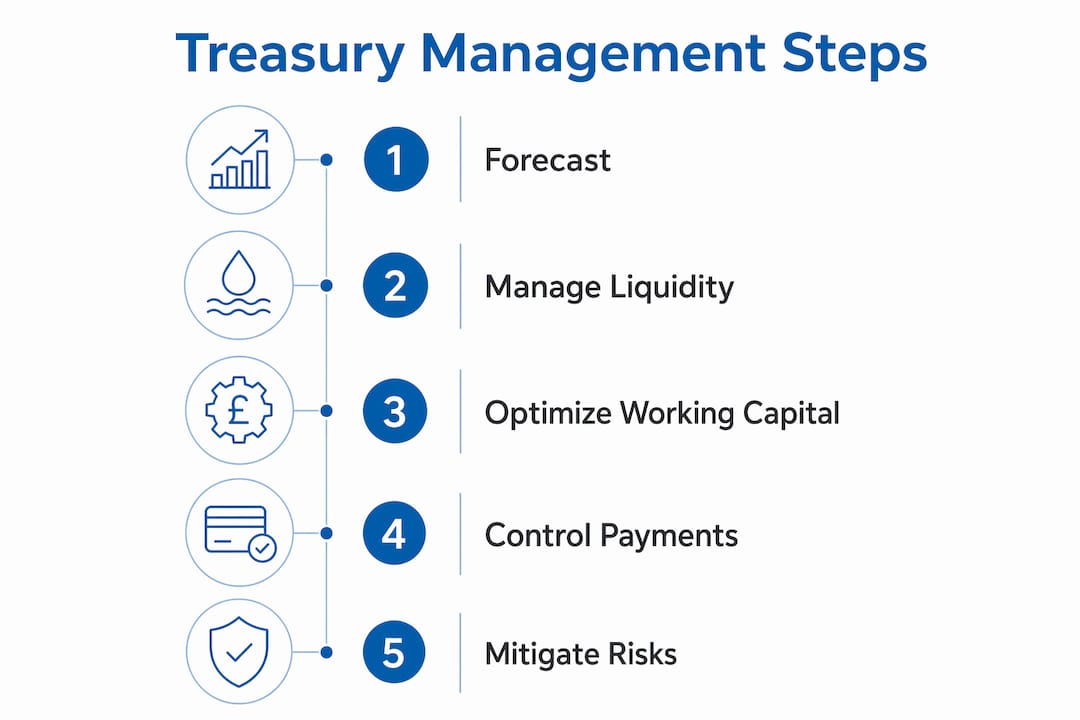 Infographic illustrating treasury management process steps