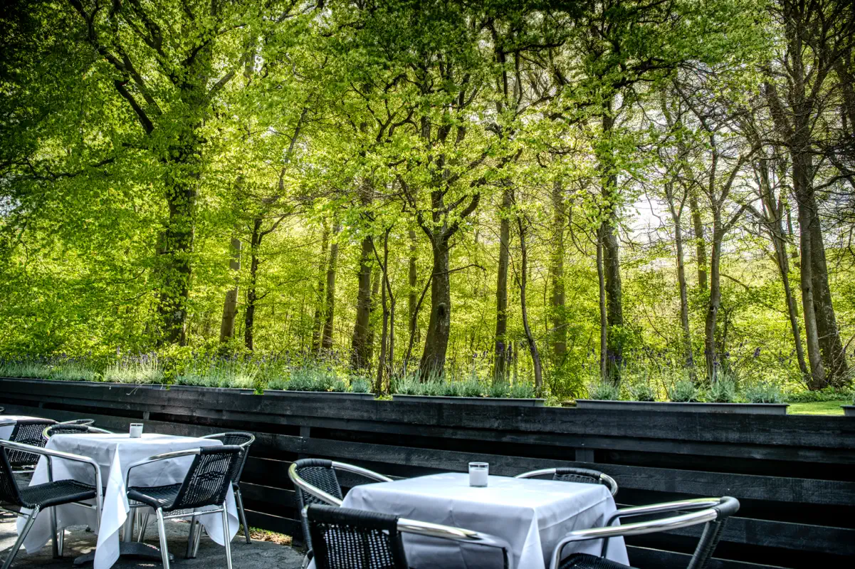 Dækkede terrasseborde på Lilleringskov med udsigt til den grønne skov.