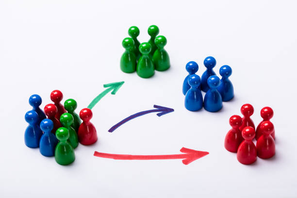 customer segmentation strategies Shopify
